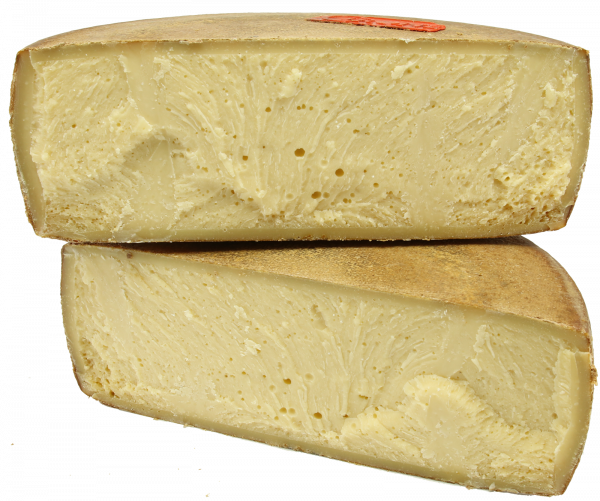 Schweizer Käse Cironè im online shop von Käseversand24 kaufen