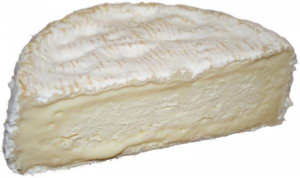 Camembert de Normandie Kaese kaufen shop onlineversand von kaeseversand24.de